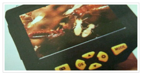 施工播報(bào)